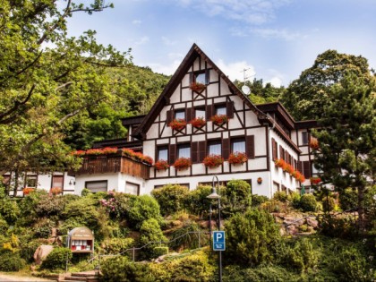 照片: Waldhaus Wilhelm